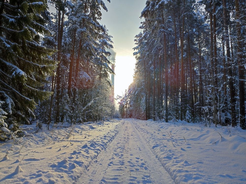 Photograph by Елена Касьянова