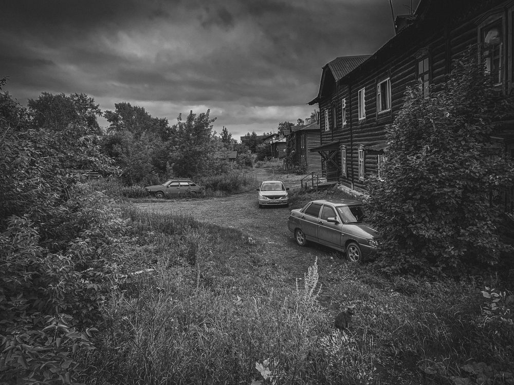 Фотография автора Дмитрий Мясников