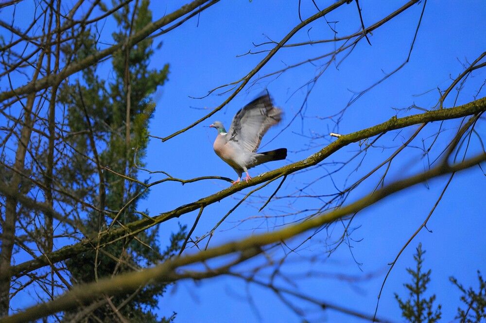 Photograph by Jaroslav Sameš