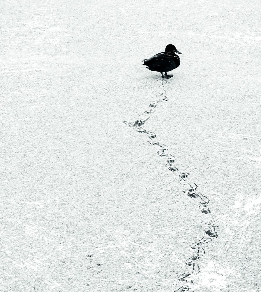 Photograph by Jaroslav Sameš