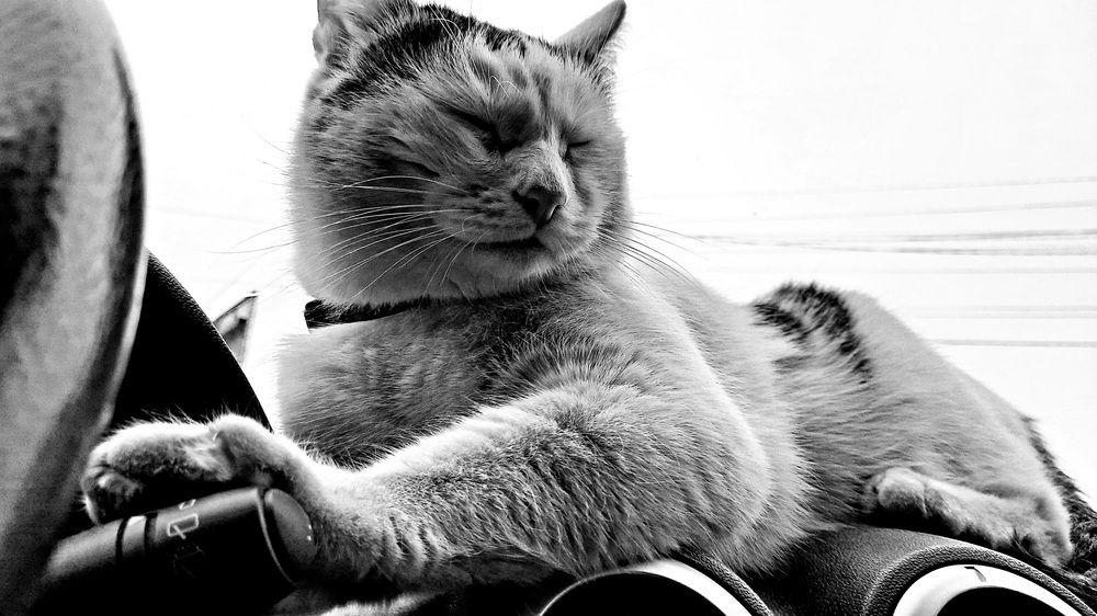 Photograph by Мирон Сергей