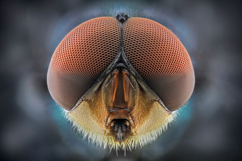 Photograph by Yulianto Pongge