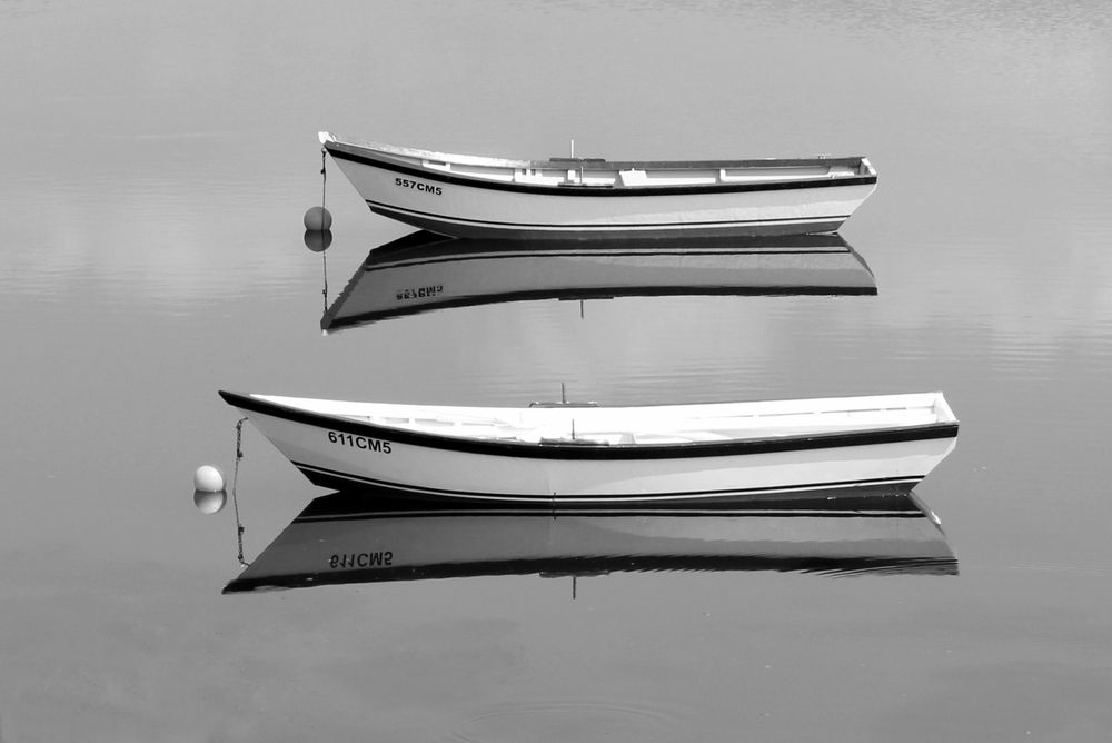 Photograph by Luís Sérgio Gonçalves