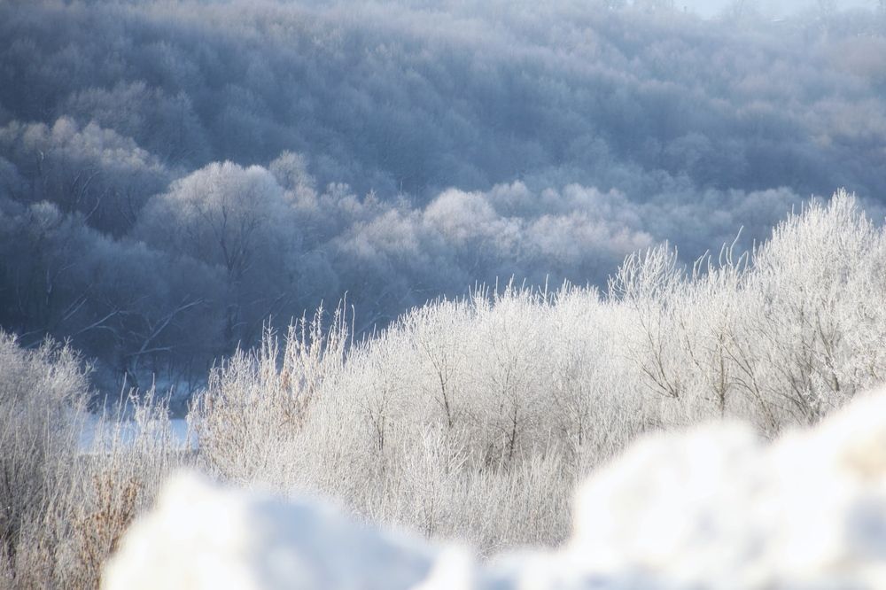 Photograph by Елена Хорошильцева