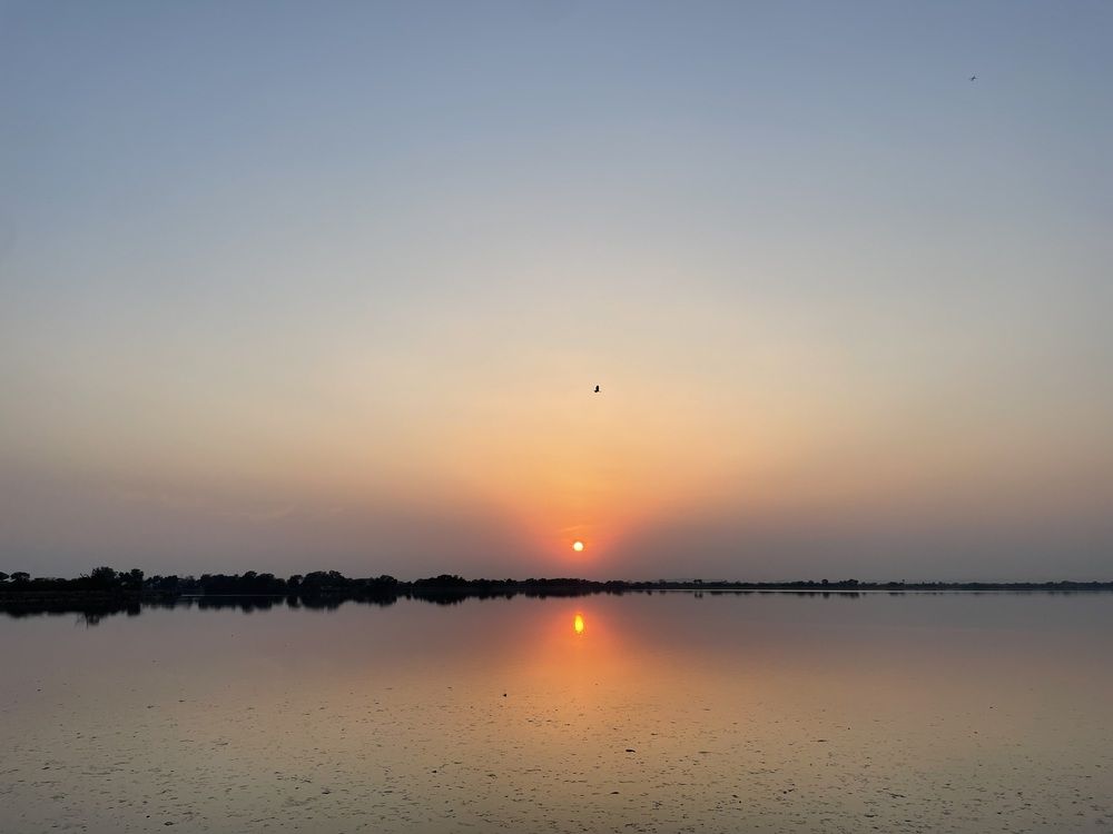 Photograph by Dr. Santosh Kumar Jha