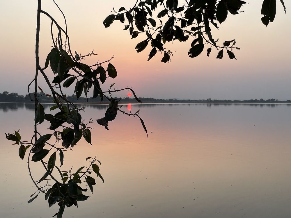 Photograph by Dr. Santosh Kumar Jha
