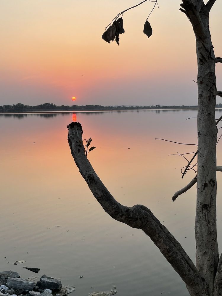 Photograph by Dr. Santosh Kumar Jha