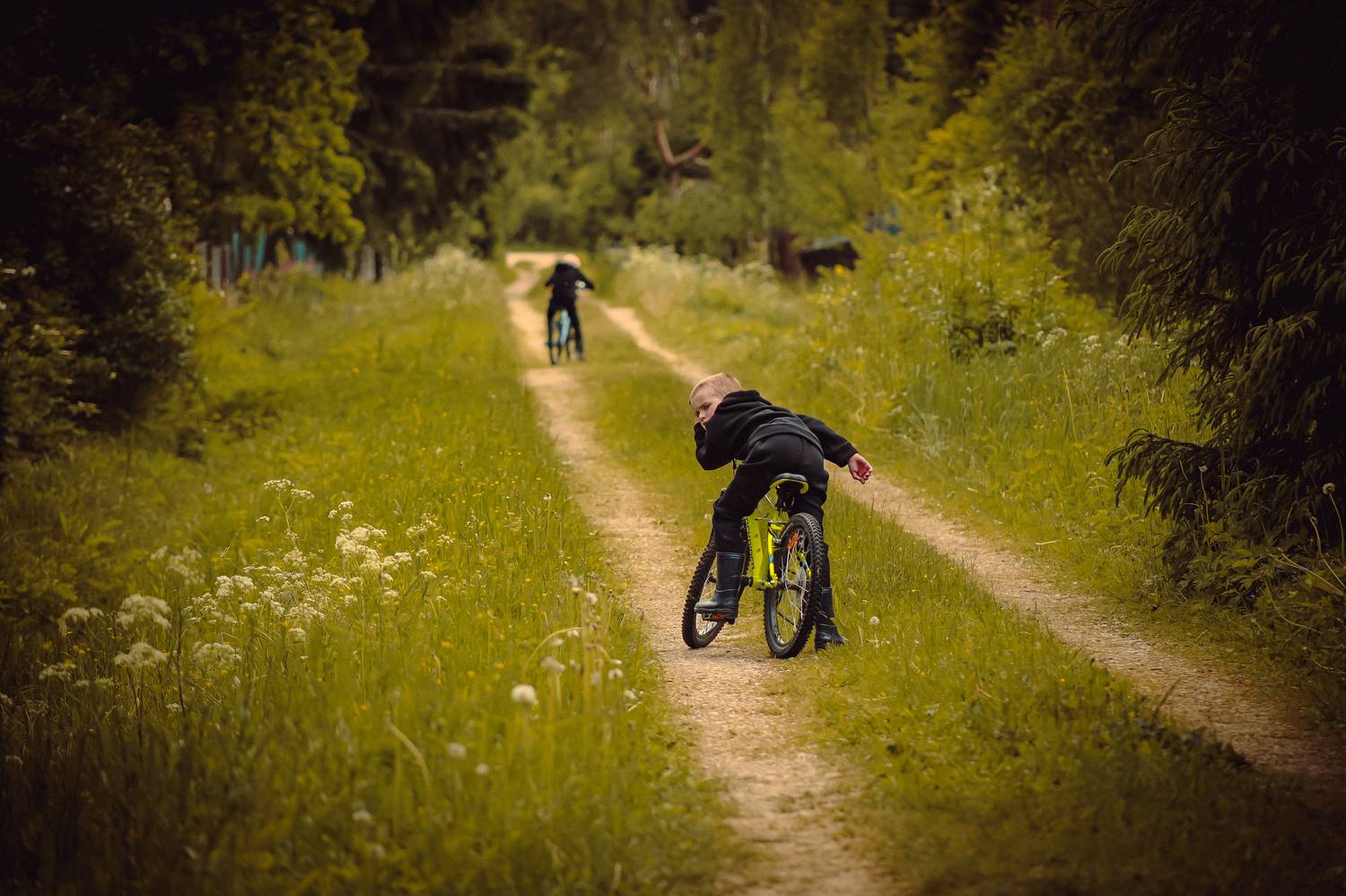 Photo #11862467