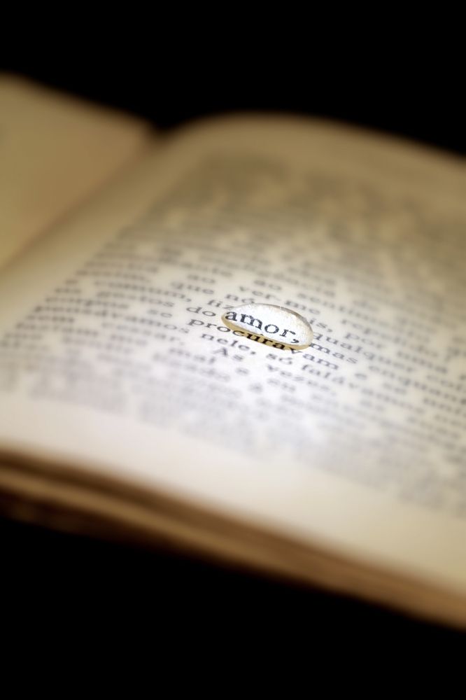 Photograph by Luís Sérgio Gonçalves