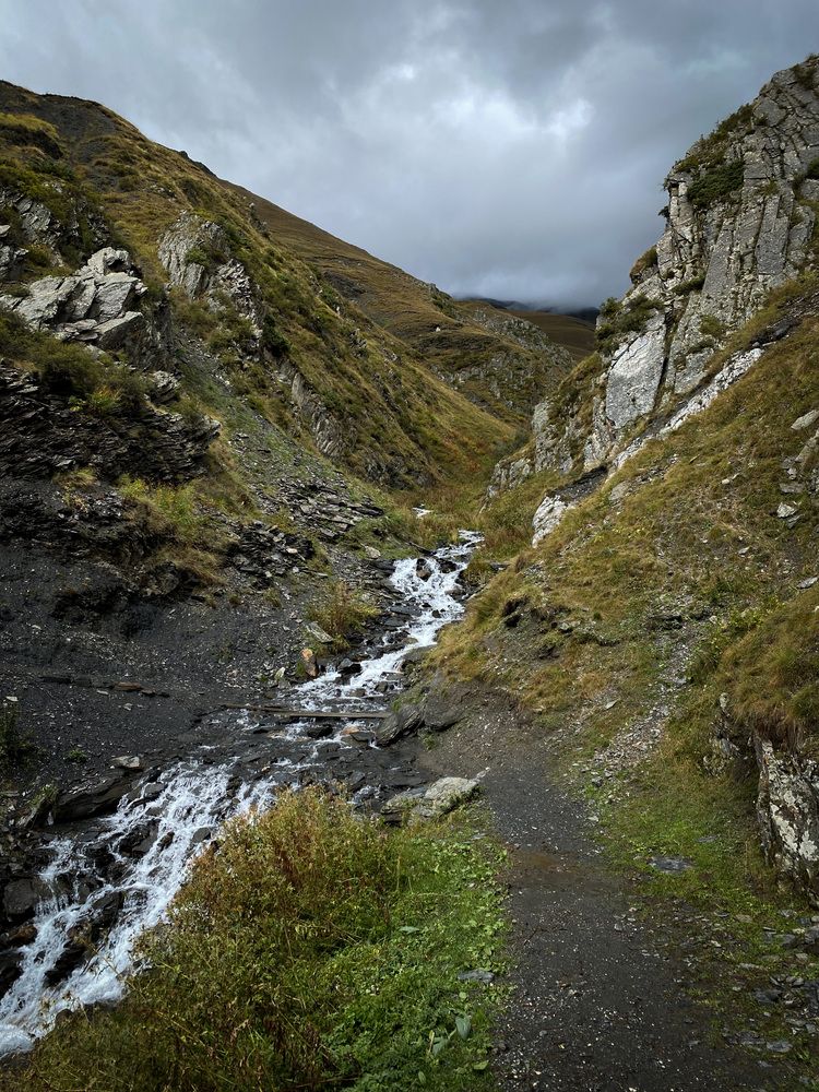 Photograph by Evgenii