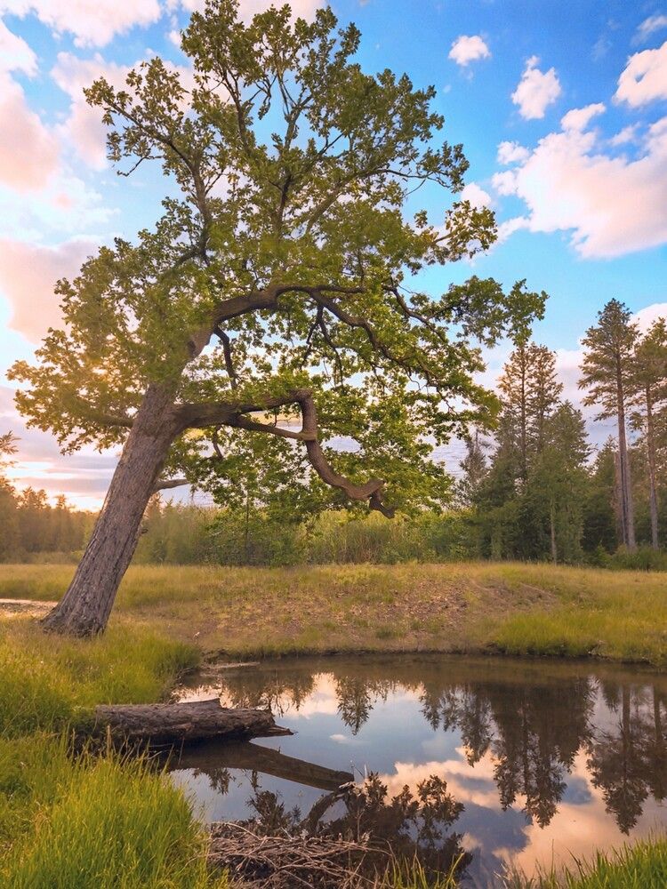 Photograph by Jaroslav Sameš