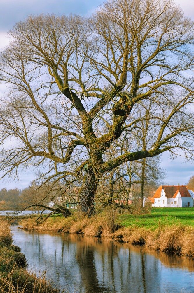 Photograph by Jaroslav Sameš