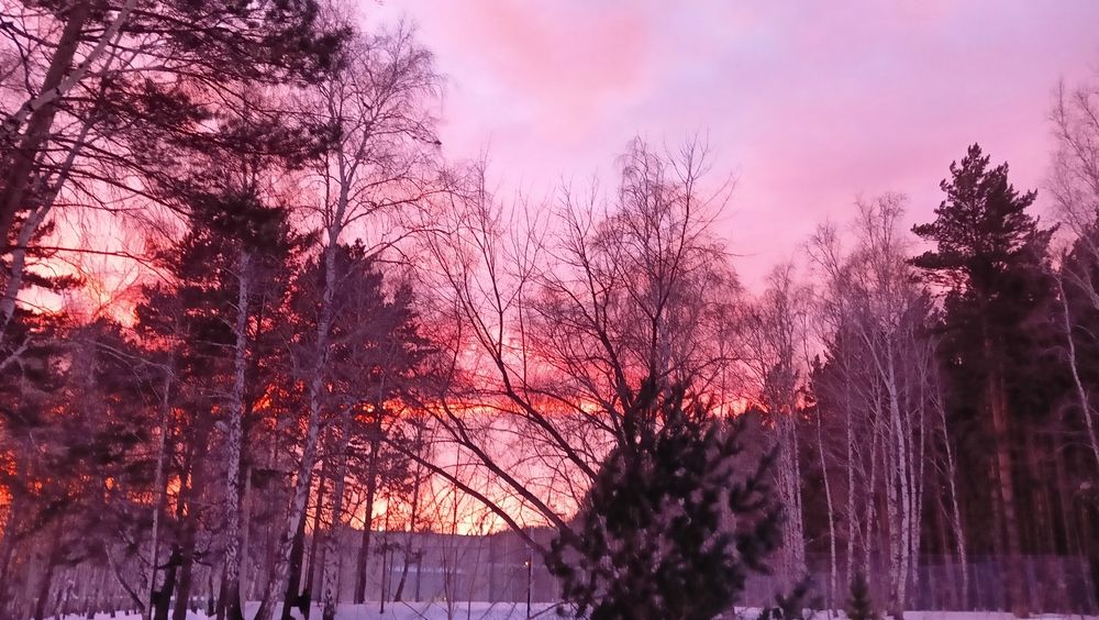 Photo #11862511