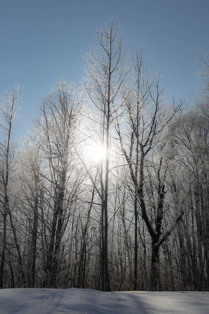 Фотография автора Nadezhda Poryvaeva