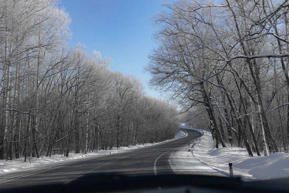 Фотография автора Nadezhda Poryvaeva