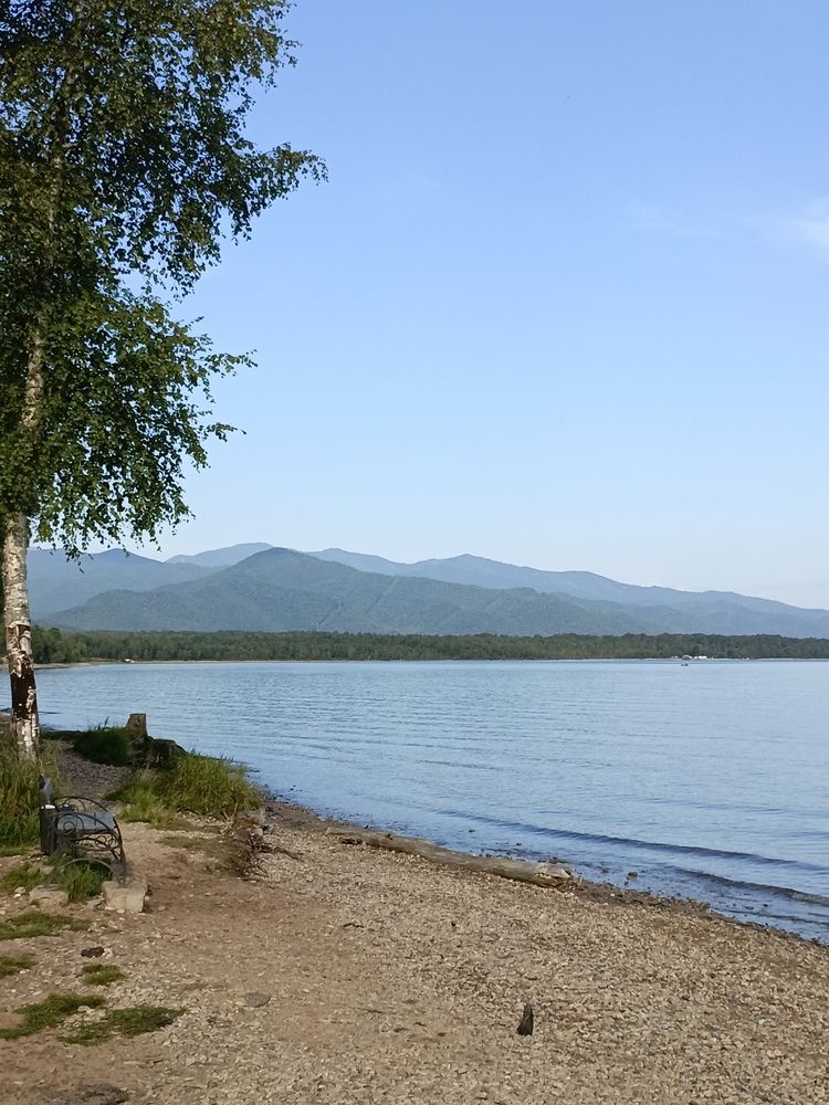 Photo #11862545