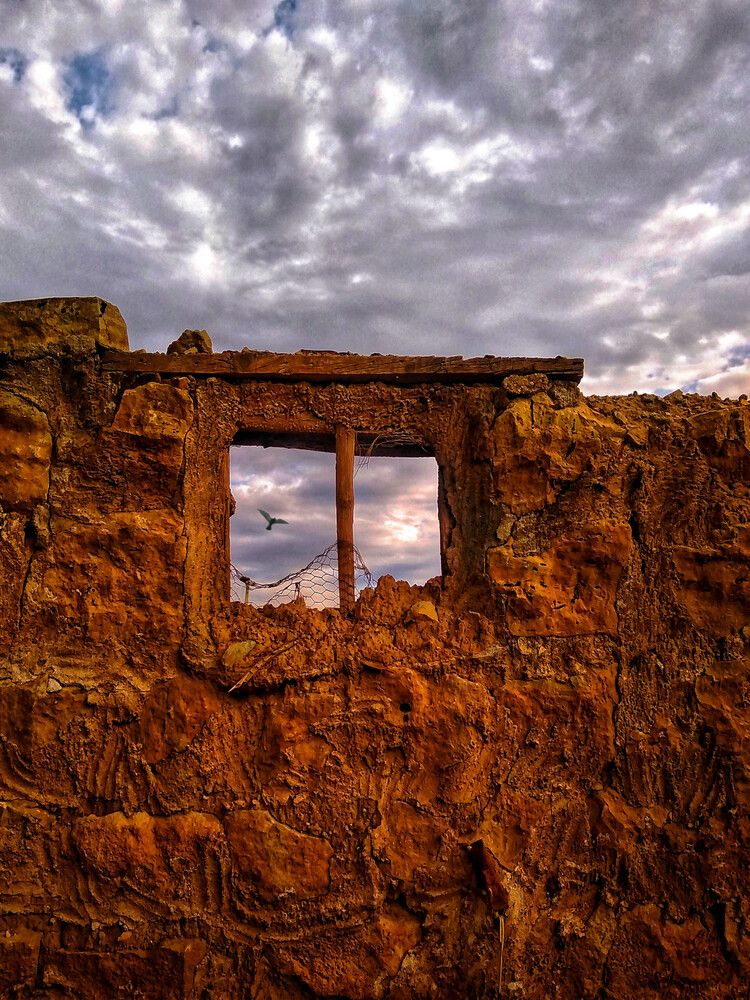 Photograph by Marziyeh Nasiri