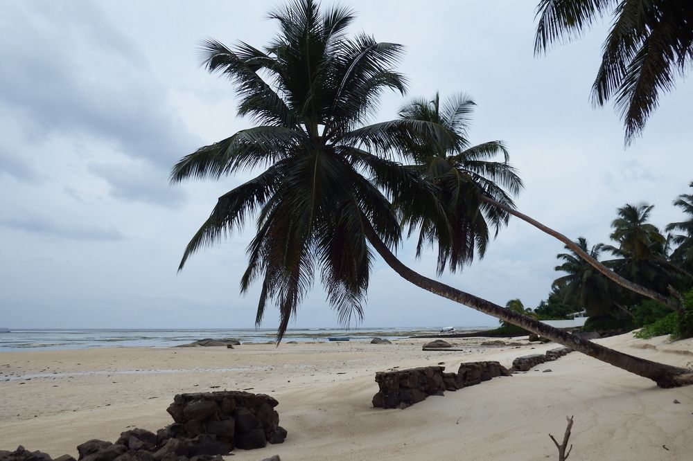 Photograph by Vasilii Martynov