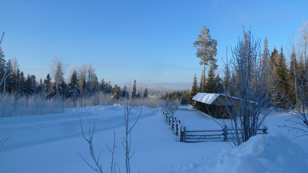 Photo #11862573
