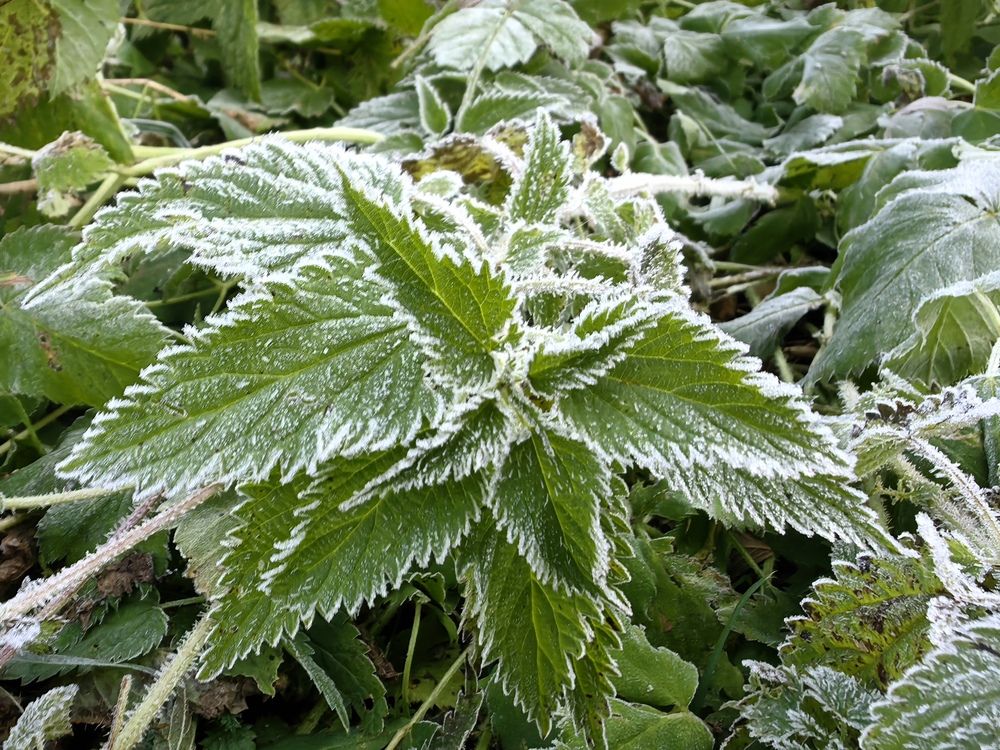 Photograph by Елена Касьянова