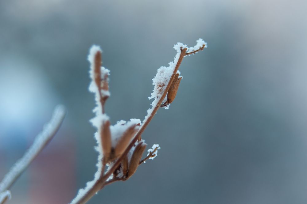 Photograph by Александра Парфенова