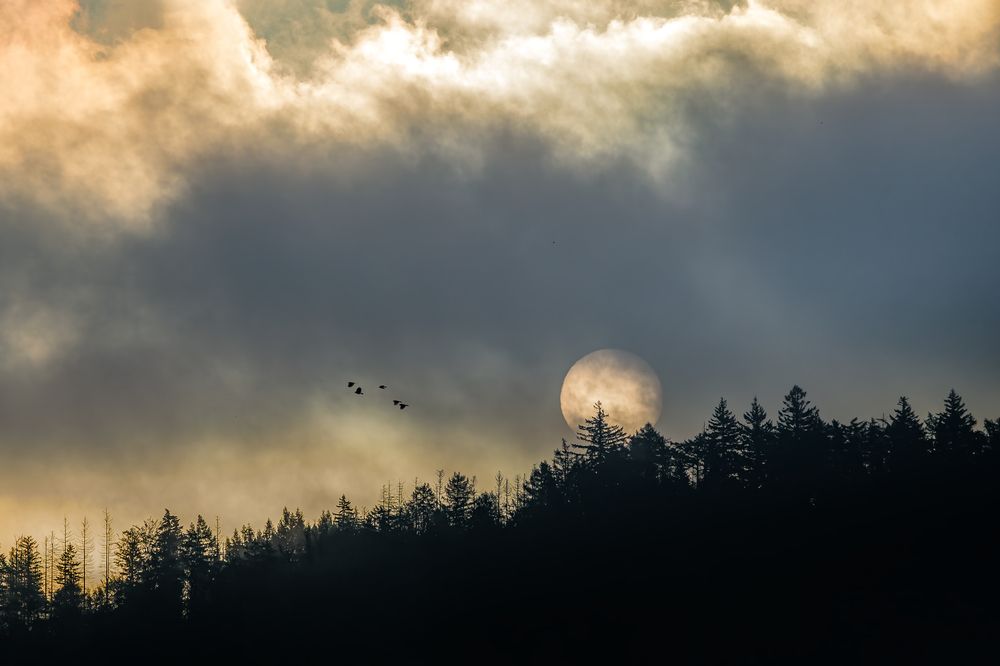 Photograph by Ilona Rosenkrancová