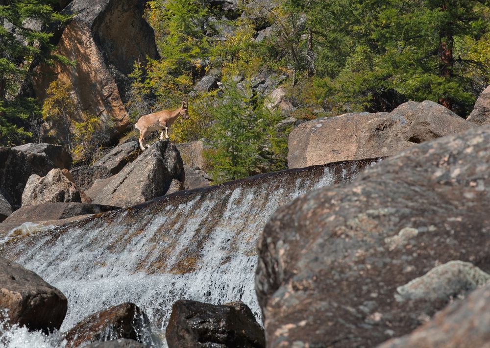 Photograph by Александр КАИ