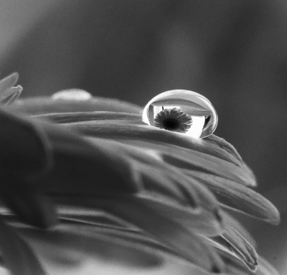 Photograph by Галина Чернякова