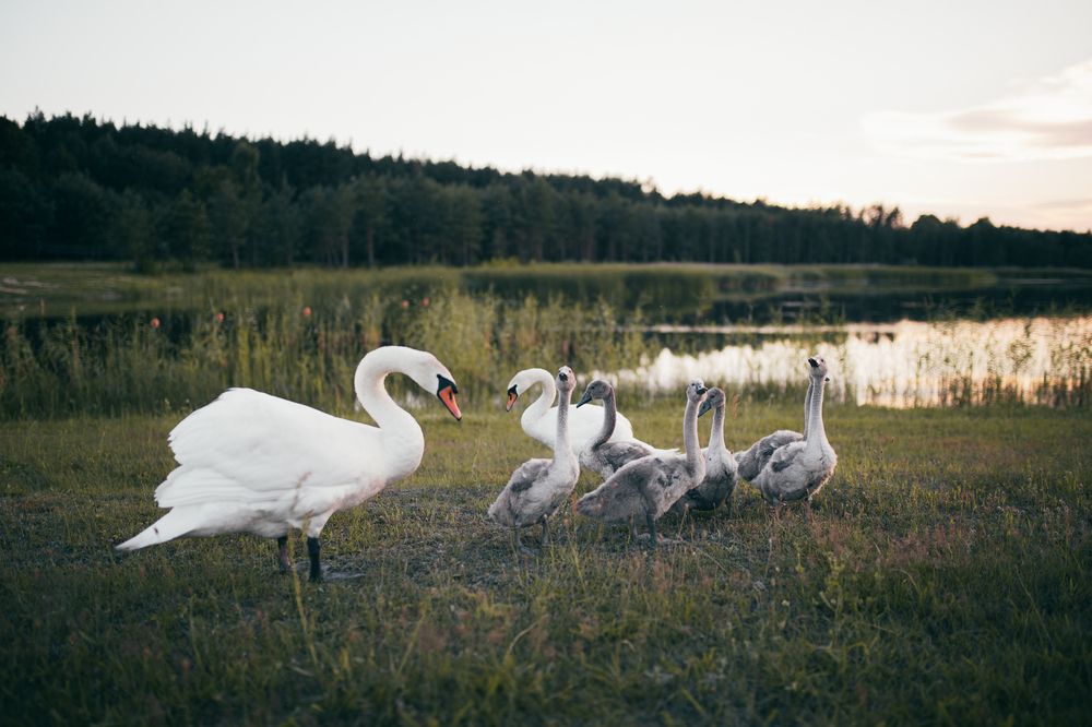 Photograph by Артем Миронов