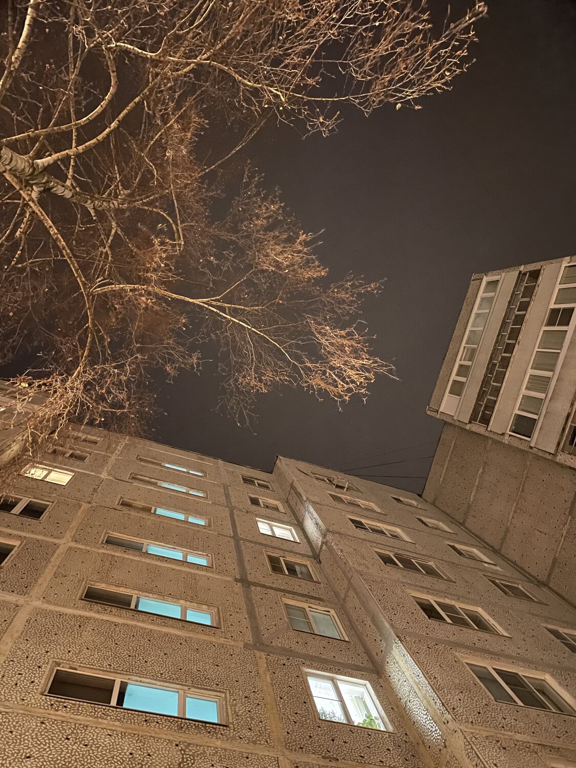 Photo #11862787