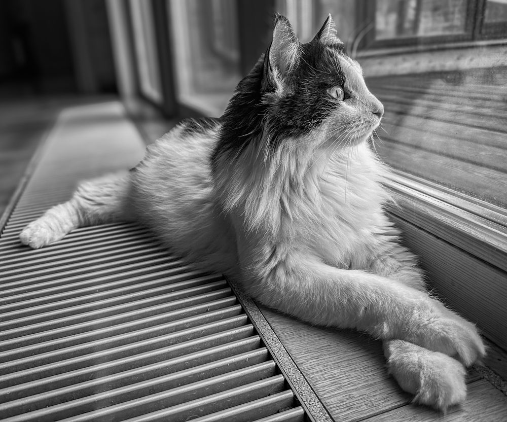 Photograph by Курлянцев Алексей