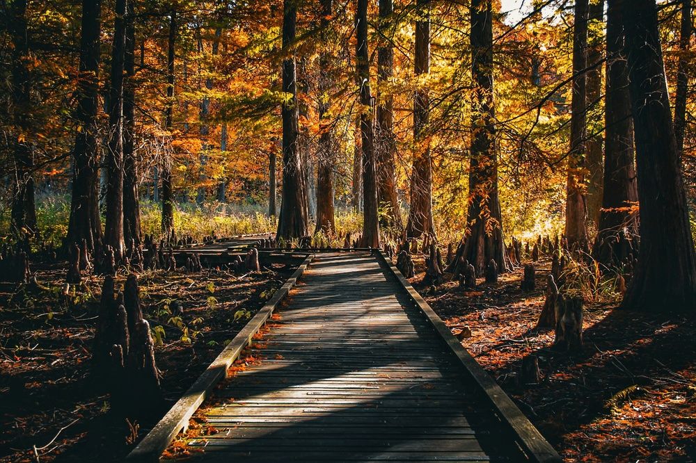 Photograph by Jason Morse