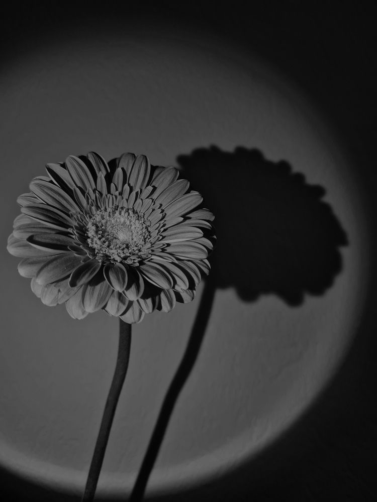 Photograph by Анастасия Мусихина