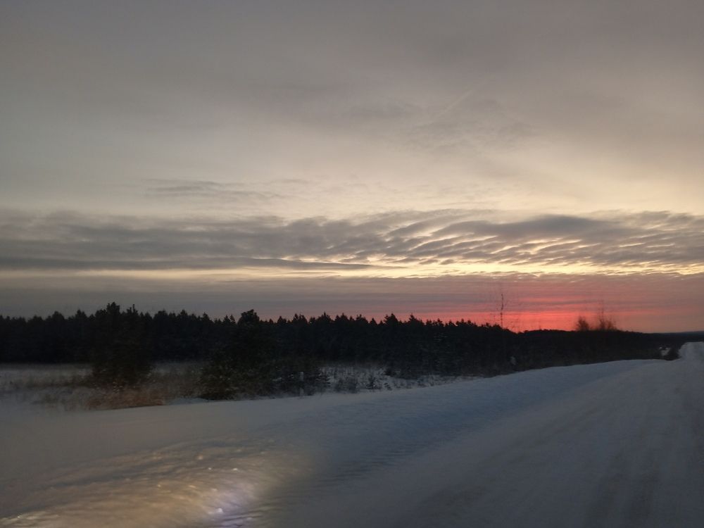 Photo #11862812