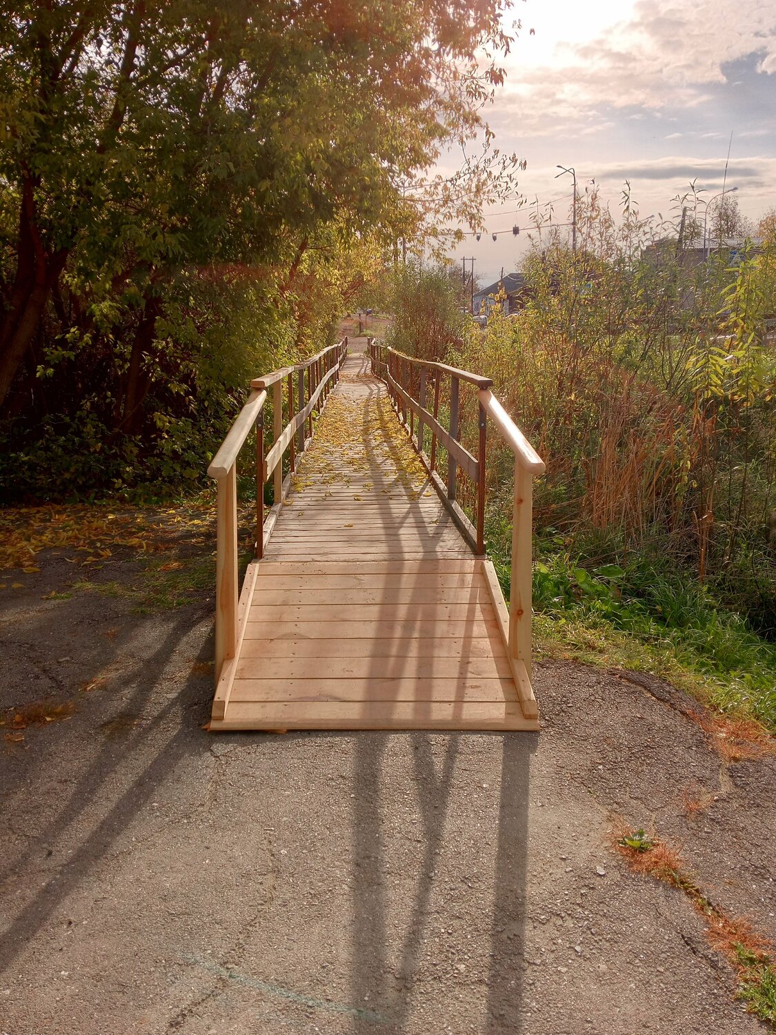 Золотая осень