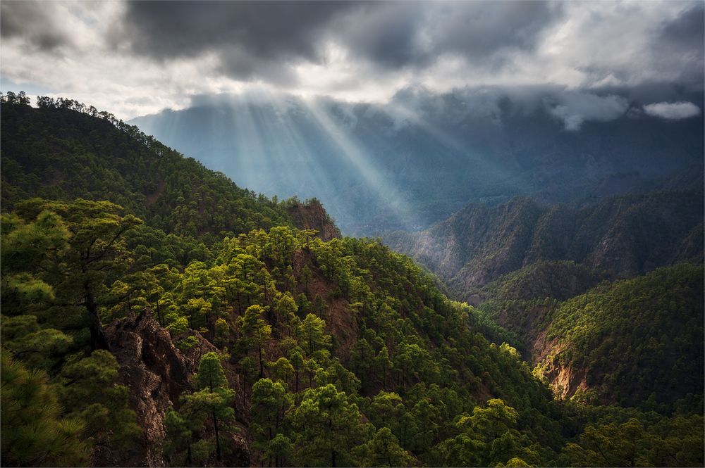 Photograph by Vasylius Vitalis