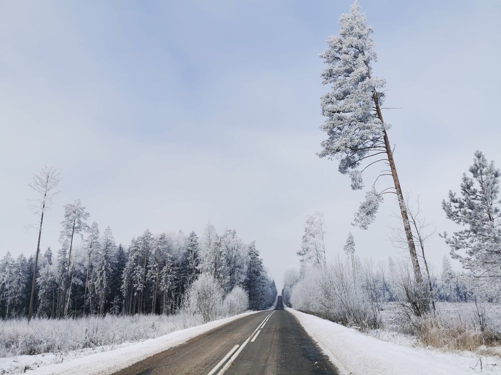 Photograph by Дмитрий Разахацкий