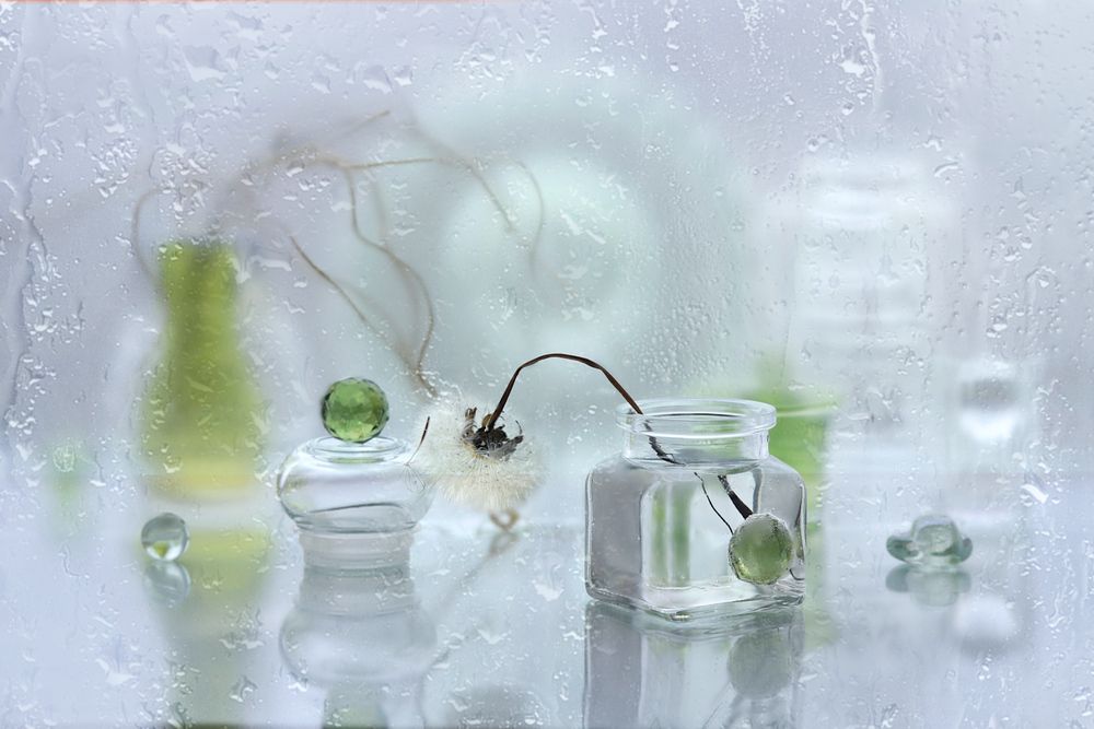 Photograph by Шруб (Беляева) Татьяна