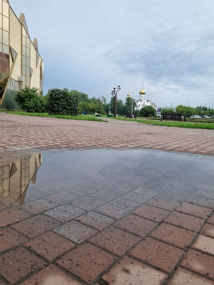 Фотография автора Елена Марухненко