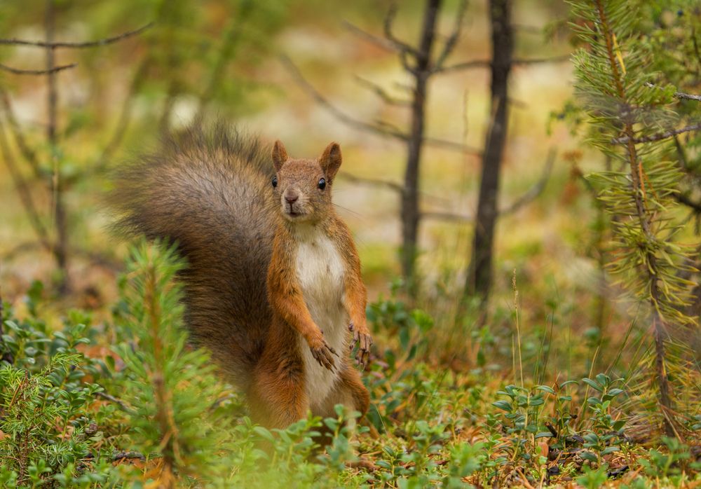 Фотография автора Viktoriya Kim