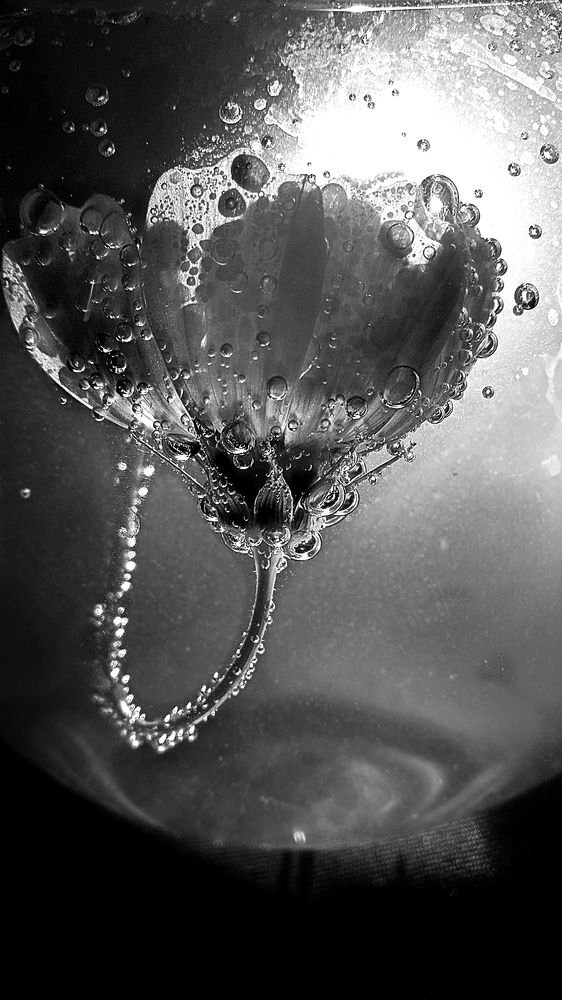 Photograph by Ольга Рыкова