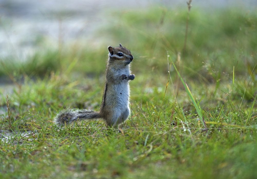 Фотография автора Viktoriya Kim