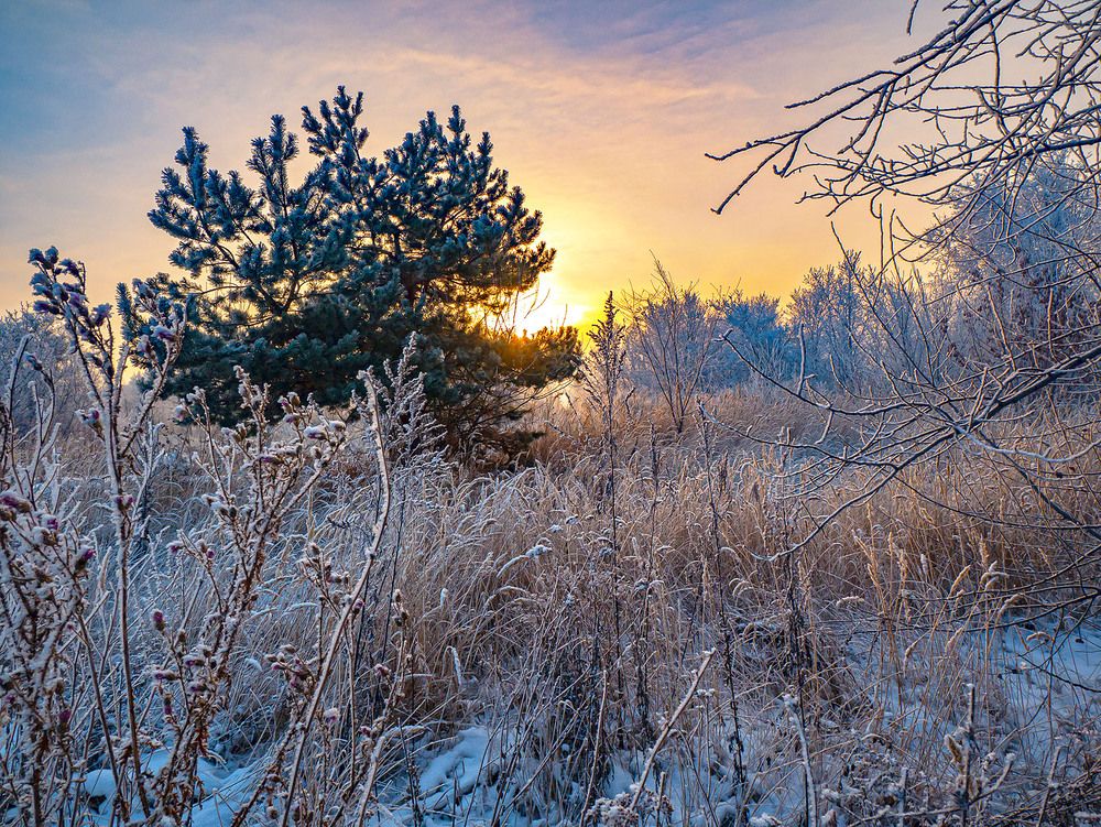 Photograph by Василий Губский