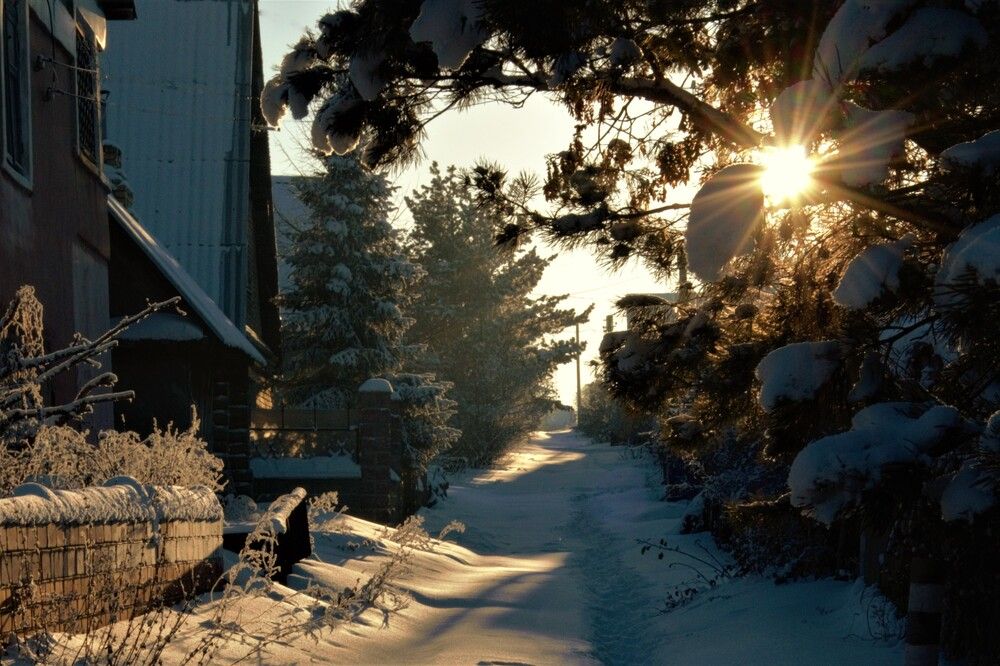 Photograph by Александр Яценко