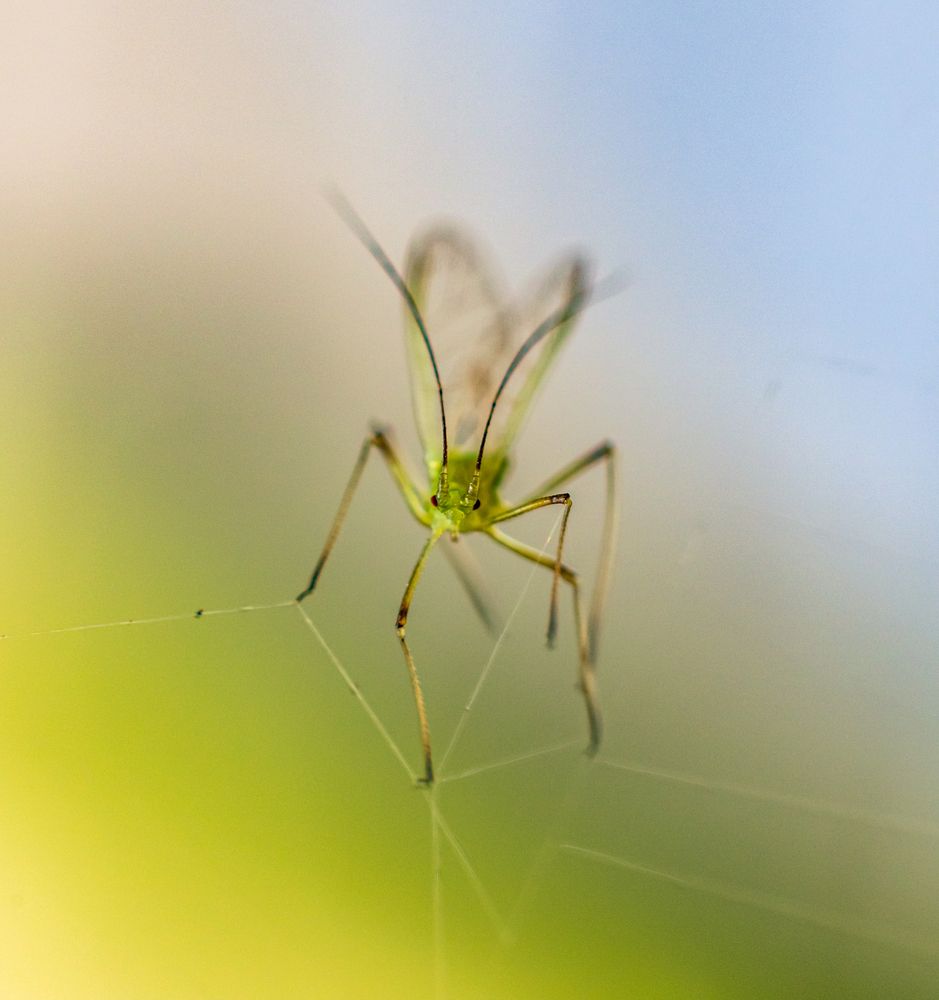 Photograph by Valle Clara Maikel