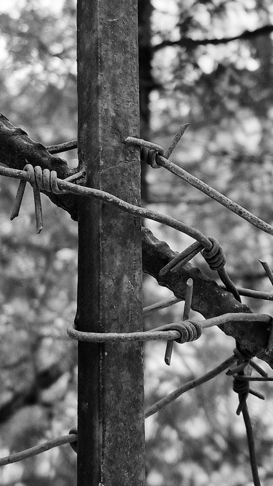 Фотография автора Ольга Быстрова