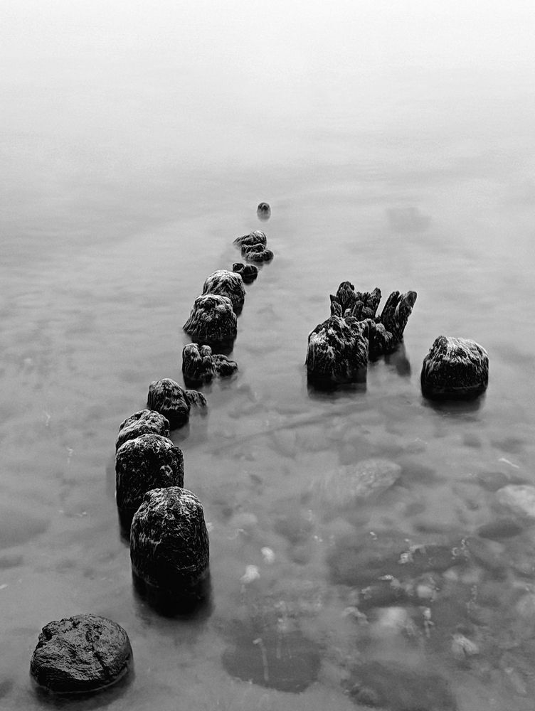 Photograph by Никита Львов