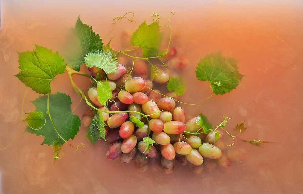 Photograph by Сергей Мартьяхин