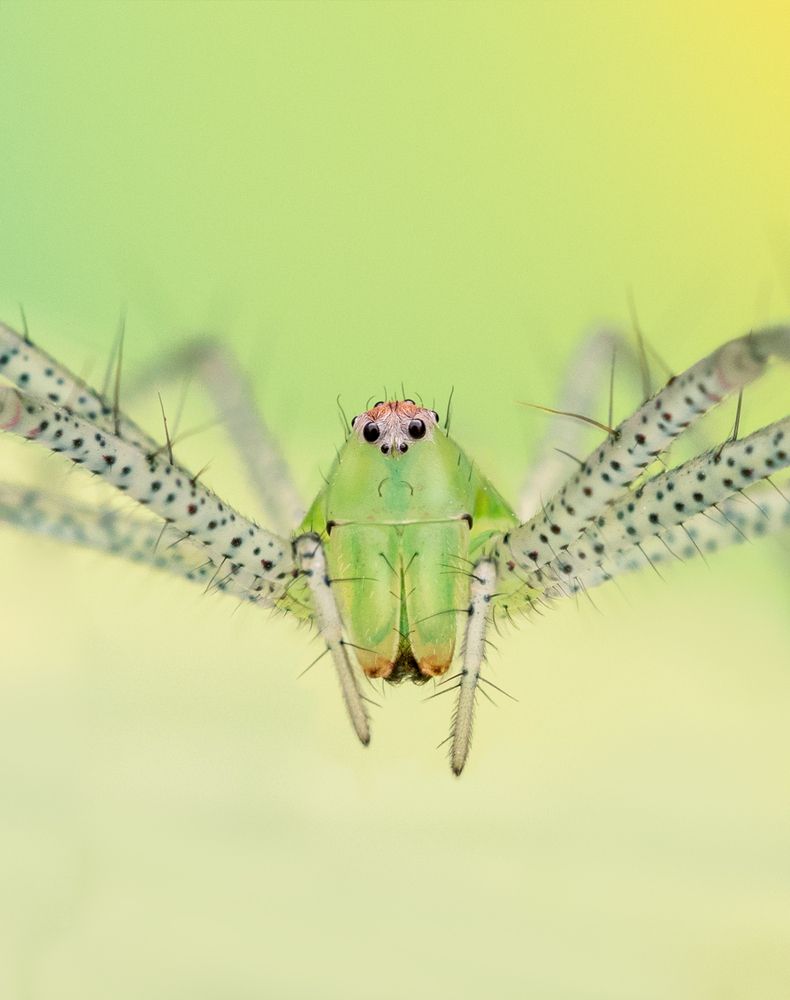 Photograph by Valle Clara Maikel