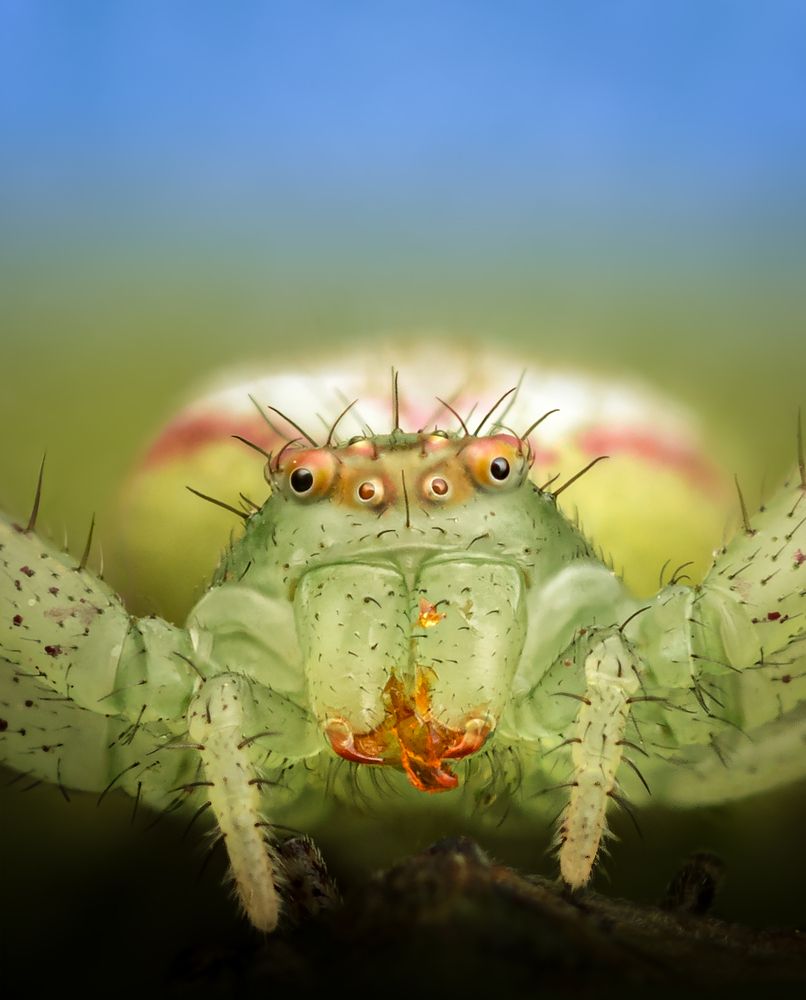 Photograph by Valle Clara Maikel